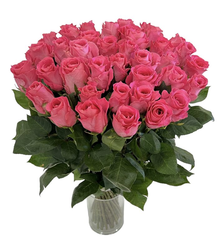 Pink Roses 60 cm