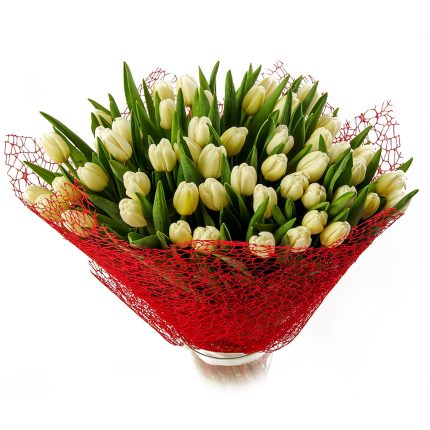 Pink tulips with packaging (25psc.)
