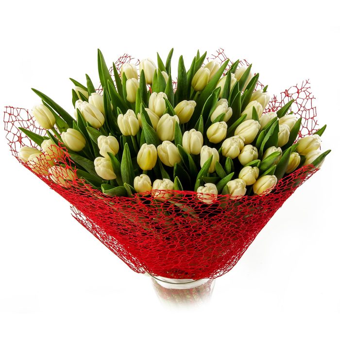 White Tulips with packaging (25 pcs.)