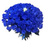 Синие розы 70 см 101 шт.