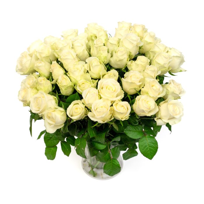 Белые Розы 80 см