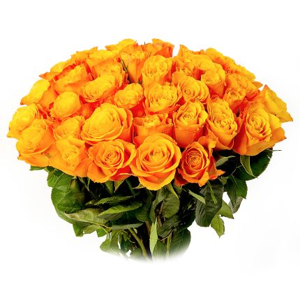 Оранжевые розы 60 см