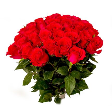 Красные Розы 80 см