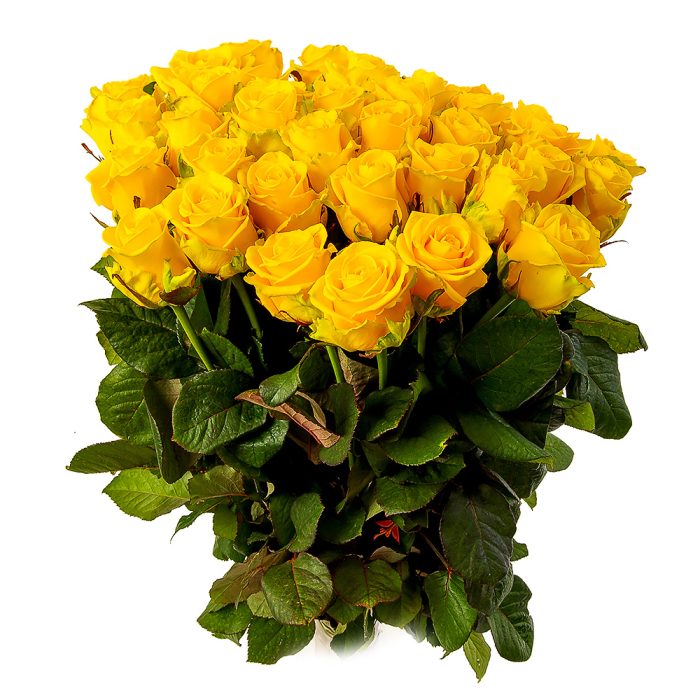 Желтые розы 60 см