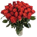 Sarkandzeltenas rozes 60cm