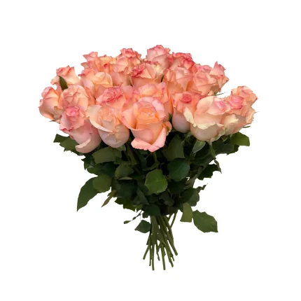 Maigi rozā rozes 60 cm