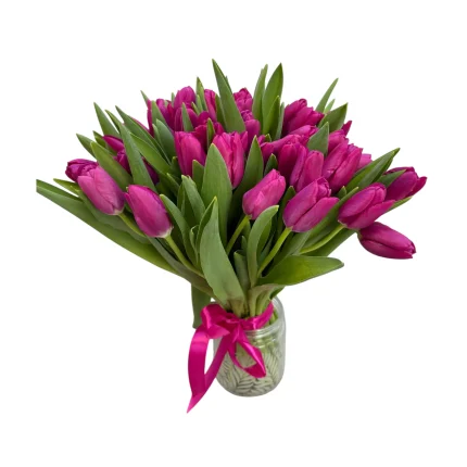 Raspberry-Colored Tulips